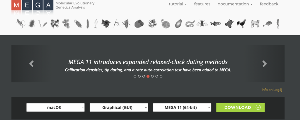 MEGA11のインストール画面
