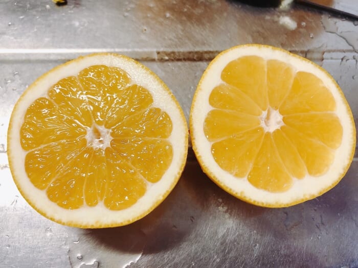 半分にカットした河内晩柑