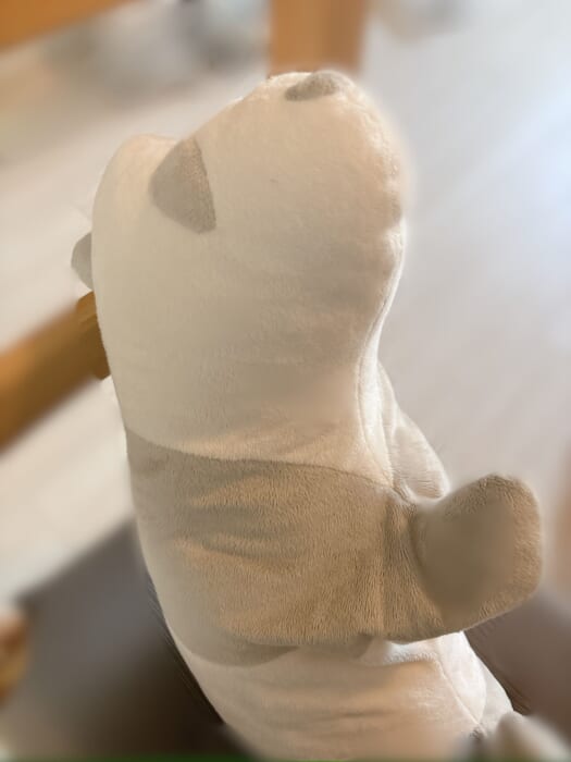イスに座る無印パンダ